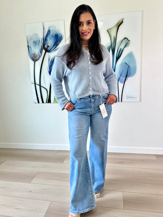 Risen High Rise Detailed Jean